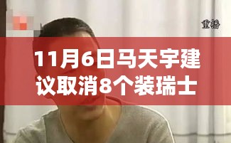 马天宇提议取消瑞士卷部分包装，背后的原因与考量探讨