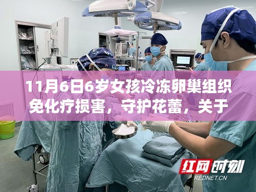 深度探讨，冷冻卵巢组织保护六岁女童免受化疗损害的健康之路