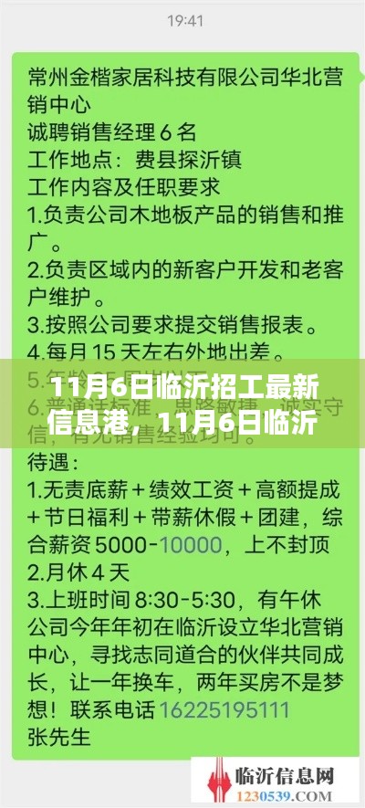 11月6日临沂招工最新信息港，探寻内心宁静的职场之旅