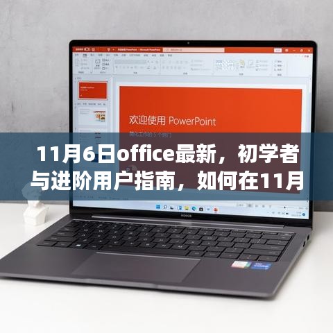 Office最新功能指南，初学者与进阶用户如何利用高效完成任务（11月6日版）