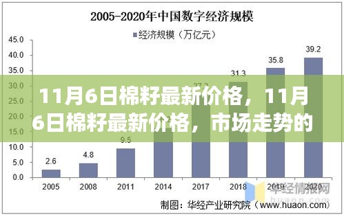 11月6日棉籽最新价格深度解析及市场走势影响探讨