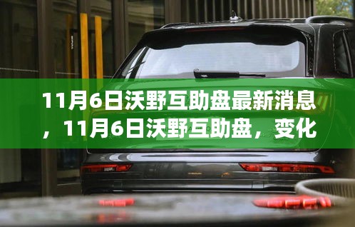 11月6日沃野互助盘最新动态，变化中的学习与成就感的源泉