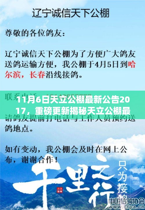 揭秘天立公棚最新动态，深度解读与分析