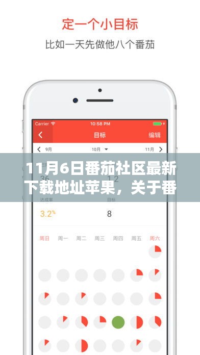 11月6日最新下载地址，番茄社区iOS版下载指南