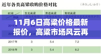 揭秘高粱市场风云变幻，最新高粱价格动态报告（11月6日）