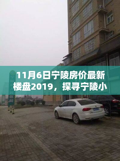 宁陵房价最新动态，探寻小巷深处的宝藏小店