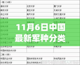 中国最新军种分类揭秘，力量变迁与自信成就感的源泉