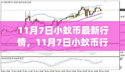 11月7日小蚁币行情深度解析，特性、体验、竞品对比与目标用户群体剖析