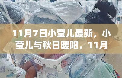 小莹儿与秋日暖阳的温馨日常，11月7日的暖心故事