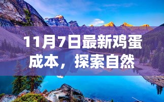 11月最新鸡蛋成本与心灵宁静的自然探索之旅