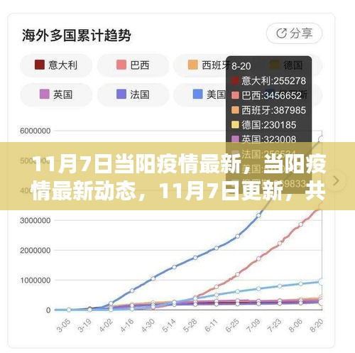 当阳疫情最新动态更新，共同守护家园安全（11月7日最新消息）