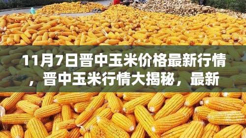 晋中玉米最新行情揭秘，价格动态一网打尽（11月7日）