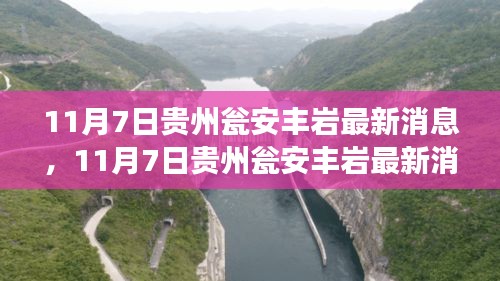 皂角 第512页