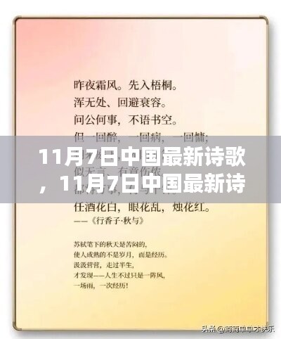 中国最新诗歌赏析与深度解读，11月7日诗歌测评报告