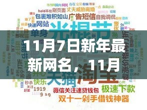 11月7日新年最新网名，时代演变中的个人表达与网络身份重塑