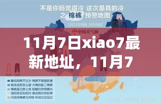 11月7日小七新发现，温馨日常与友情魔法的秘密地址