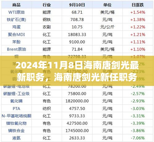 揭秘海南唐剑光新职务，职责与展望（2024年11月最新更新）