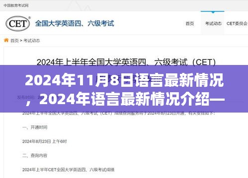 深度解析，2024年语言最新情况介绍——产品特性、用户体验与目标用户群体