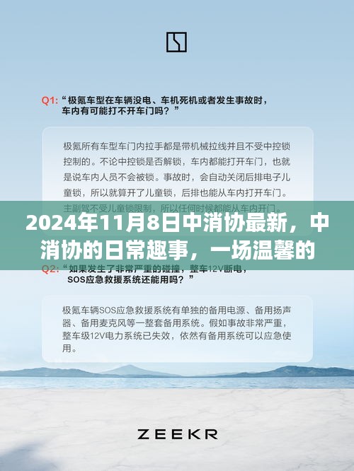 中消协日常趣事揭秘，一场温馨的陪伴之旅（2024年11月8日最新消息）