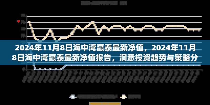 2024年11月8日海中湾赢泰净值报告，洞悉投资趋势与策略分析