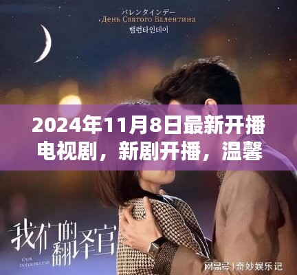 新剧开播，温馨家庭日常背后的爱与陪伴（2024年11月）