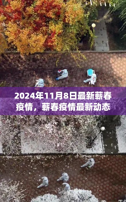 蕲春疫情最新动态，聚焦防控进展与科普解读（2024年11月）