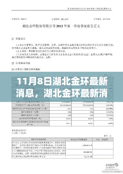 湖北金环最新消息解读与行动指南（更新至11月8日）