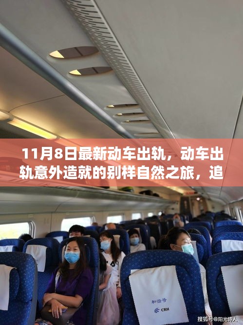 动车出轨意外引发别样自然之旅，追寻内心宁静与微笑