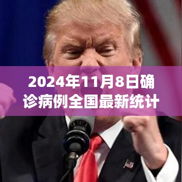 2024年11月8日全国最新确诊病例统计报告及要点分析