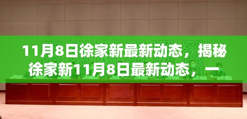 揭秘徐家新11月8日最新动态，逐步掌握新技能的历程