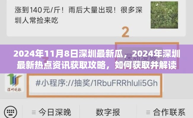 2024年深圳最新热点资讯获取攻略，揭秘瓜的来源与解读方式