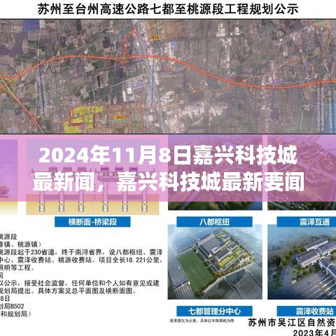 2024年11月8日嘉兴科技城最新要闻，科技新动向一览