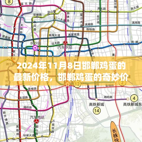 邯郸鸡蛋，奇妙价格之旅与温馨日常的陪伴（最新价格更新 2024年11月8日）