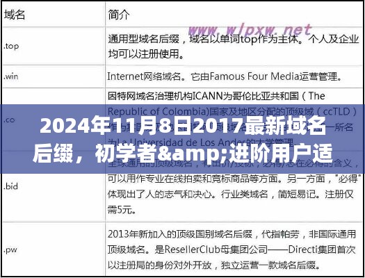 最新域名后缀注册指南，从初学者到进阶用户，一步步教你如何注册最新域名后缀（适用于2024年11月8日）