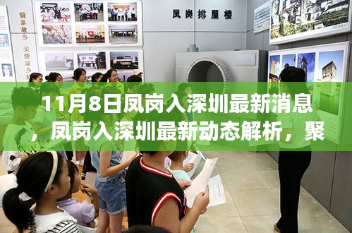 凤岗入深圳最新动态解析，聚焦影响与展望