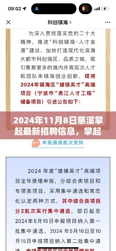 2024年慈溪掌起最新高科技招聘信息全面解析，掌起科技新势力