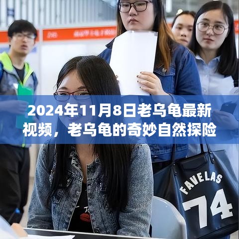 老乌龟的奇妙自然探险揭秘新旅程，最新视频预告 2024年11月8日独家呈现