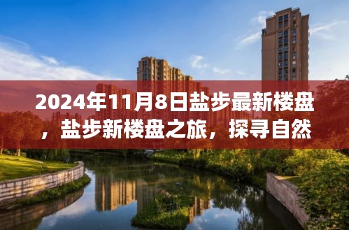 盐步最新楼盘之旅，探寻自然美景，心灵宁静的奇妙体验（2024年11月8日）