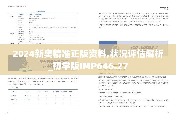 2024新奥精准正版资料,状况评估解析_初学版IMP646.27