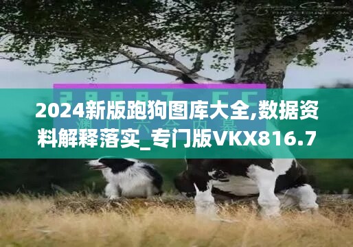 2024新版跑狗图库大全,数据资料解释落实_专门版VKX816.71