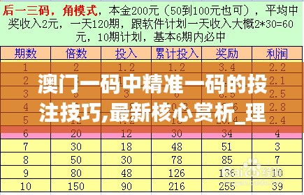 澳门一码中精准一码的投注技巧,最新核心赏析_理财版898.9