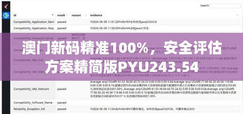 澳门新码精准100%，安全评估方案精简版PYU243.54