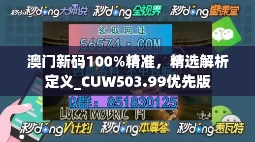 澳门新码100%精准，精选解析定义_CUW503.99优先版