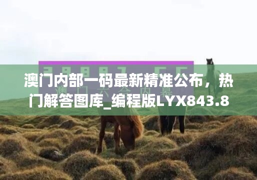 澳门内部一码最新精准公布，热门解答图库_编程版LYX843.82