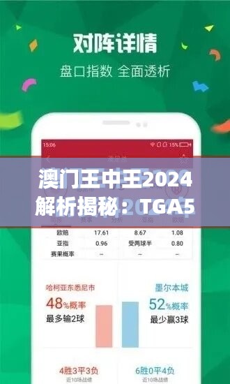 澳门王中王2024解析揭秘：TGA588.6特别版研究新视角