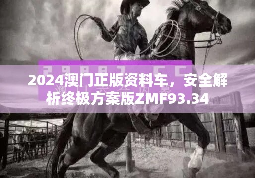 2024澳门正版资料车，安全解析终极方案版ZMF93.34