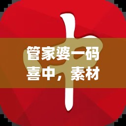 管家婆一码喜中，素材策略解析_公积金板块XNJ694.07