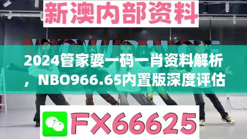 2024管家婆一码一肖资料解析，NBO966.65内置版深度评估