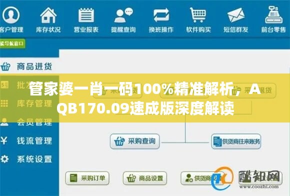 管家婆一肖一码100%精准解析，AQB170.09速成版深度解读