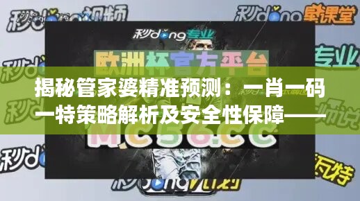 揭秘管家婆精准预测：一肖一码一特策略解析及安全性保障——OVI209.09版